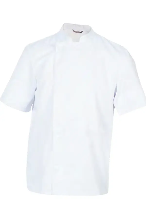 ג'קט שף MADRAS